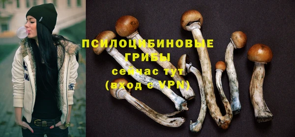 дмт Надым