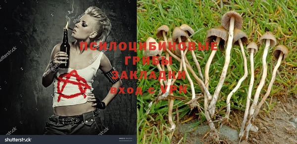 гидропоника Нея