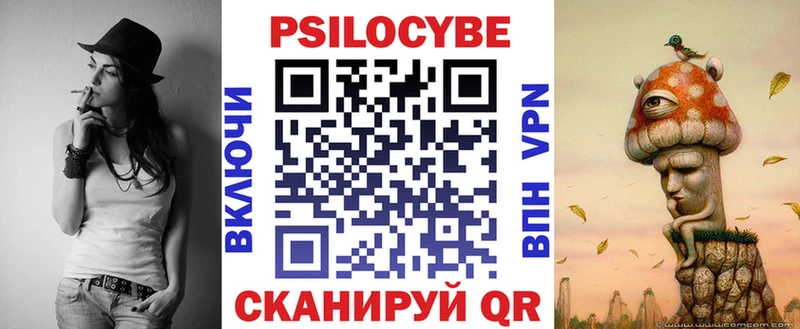 блэк спрут как зайти  Мурино  Галлюциногенные грибы Cubensis 